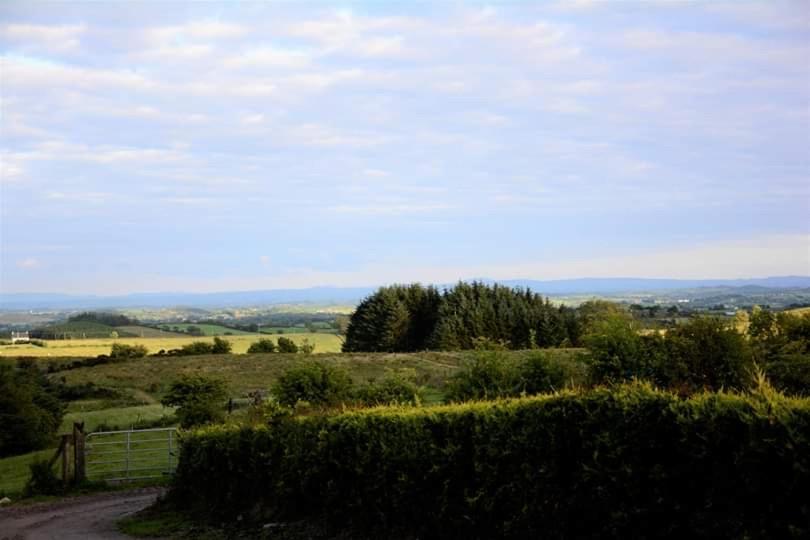 Crockgarve B And B Galbally Экстерьер фото