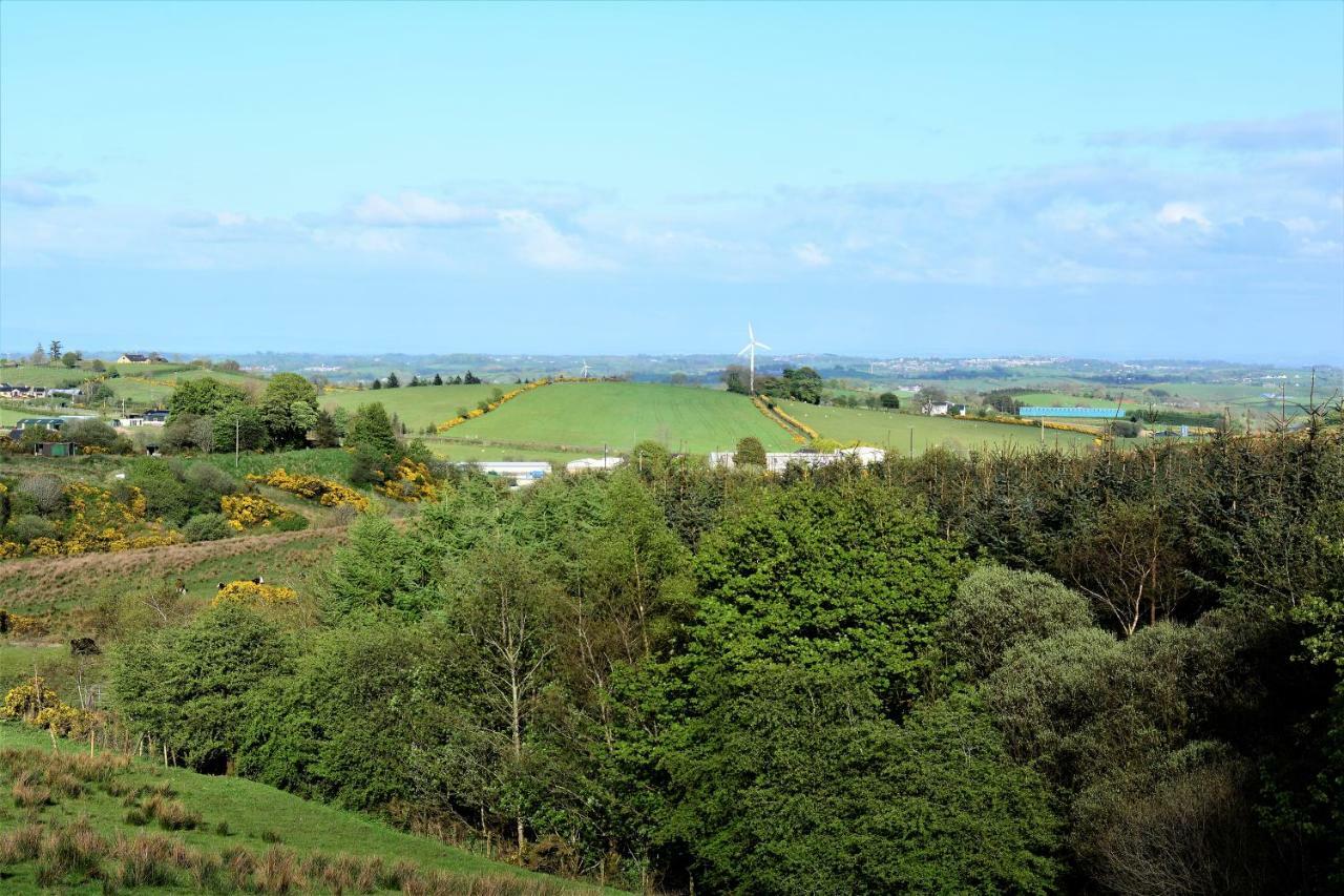 Crockgarve B And B Galbally Экстерьер фото